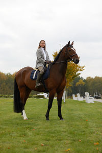 Horses on field