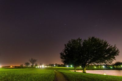 Trees on field against clear sky at night