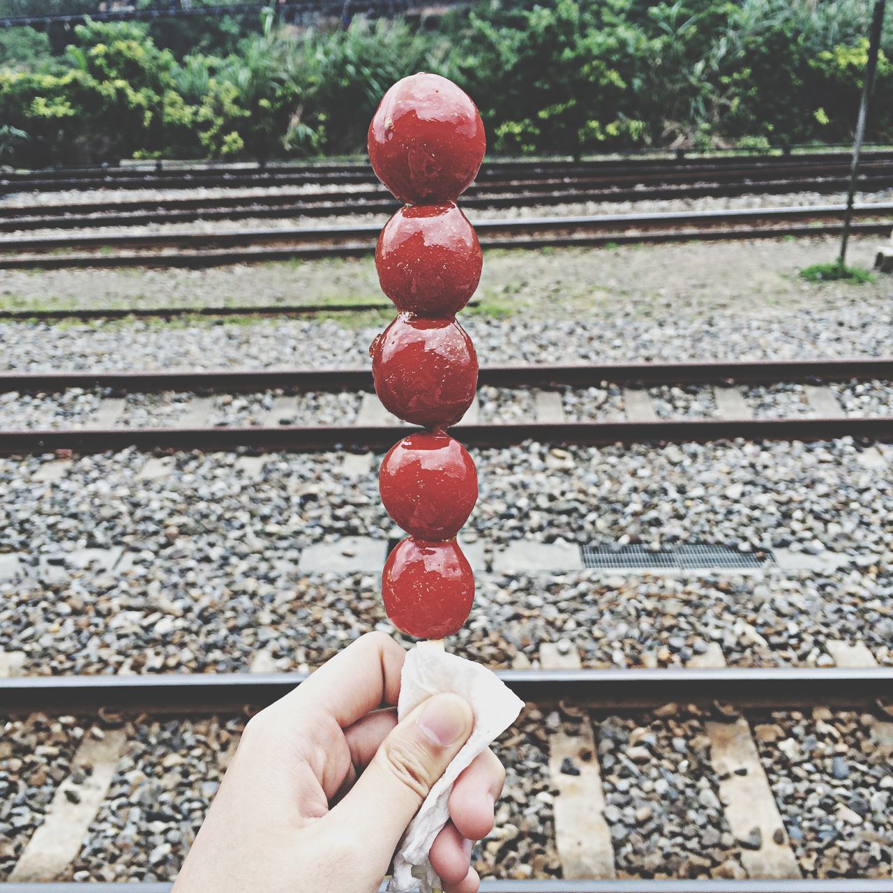 person, holding, part of, personal perspective, lifestyles, unrecognizable person, leisure activity, cropped, men, food and drink, human finger, food, red, day, railroad track, freshness
