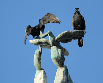 Low angle view of birds perching on statue against clear blue sky