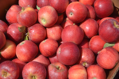 Full frame shot of apples