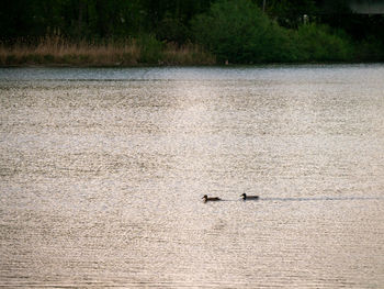 Scenic view of lake