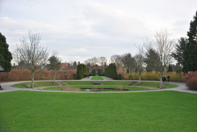 Trees on grassy field against cloudy sky