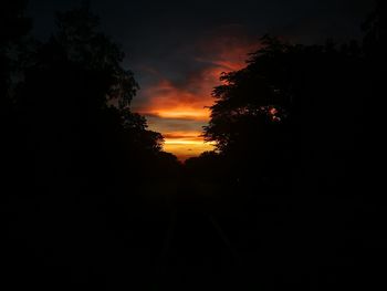 Silhouette trees on landscape against sky at sunset