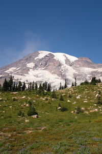 Mount rainier