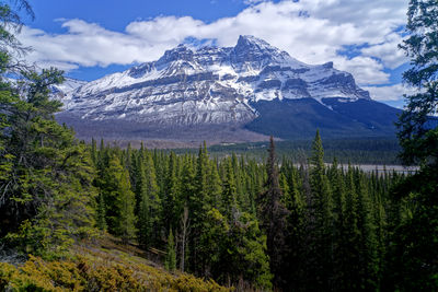 mountain