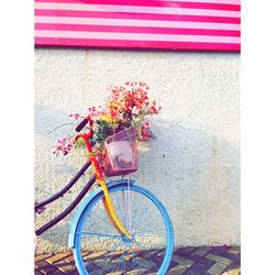 Close-up of multi colored bicycle against red wall