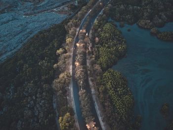 High angle view of trees in water