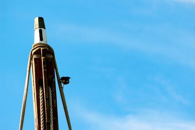 Low angle view of birds perching on pulley against clear sky