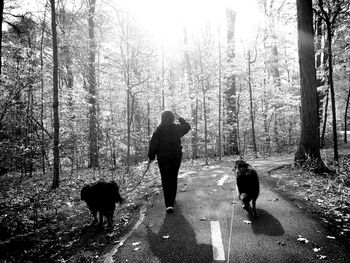 Rear view of woman with dogs walking on road at forest