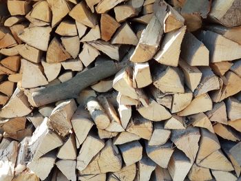 Full frame shot of logs in forest