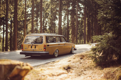 Car on road in forest