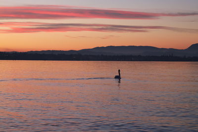 Silhouette person on sea against sky during sunset