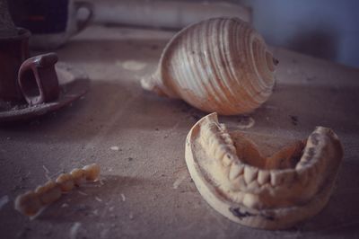 Close-up of dentures and animal shell on table