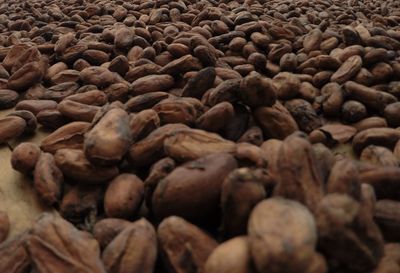 Full frame shot of pebbles