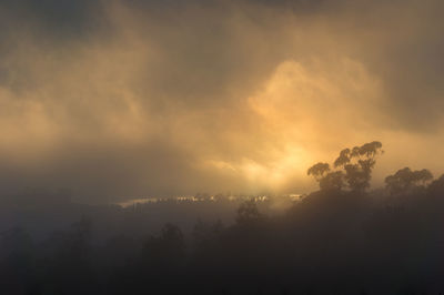 Silhouette trees against sky during sunset with smoke from bush fires