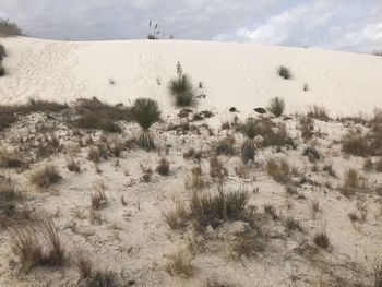 Scenic view of desert against sky