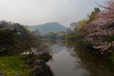 Scenic view of lake by trees against sky