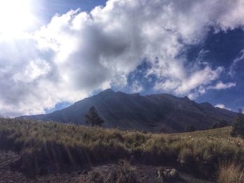 Scenic view of landscape against sky