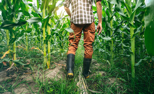 Low section of person standing on field