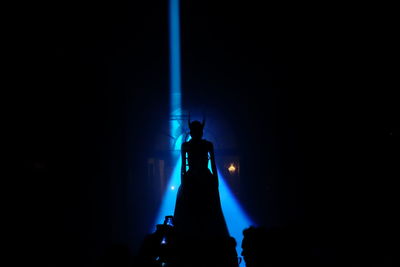 Silhouette of statue