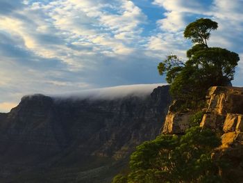 Trees on mountain against cloudy sky