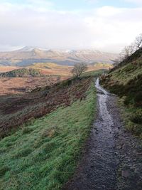 Scenic view of landscape against sky