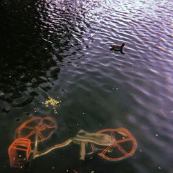 High angle view of ducks swimming in lake
