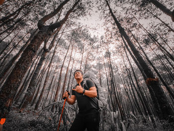 Young man standing by tree trunks in forest