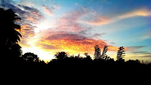 Silhouette of trees at sunset