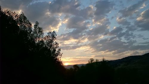 Silhouette of trees at sunset