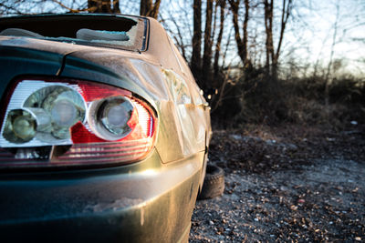 Close-up of car in forest