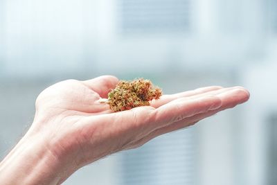 Close-up of hand holding apple against blurred background