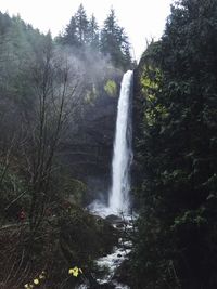 Scenic view of waterfall