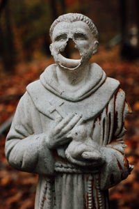 Close-up of statue