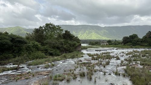 environment