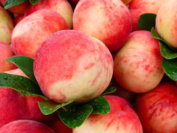 Full frame shot of apples for sale at market stall