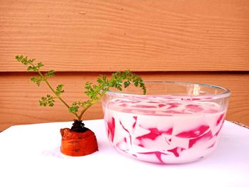 Close-up of potted plant on table