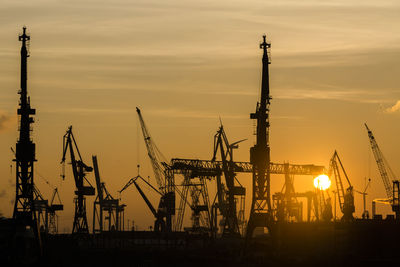 Cranes at sunset