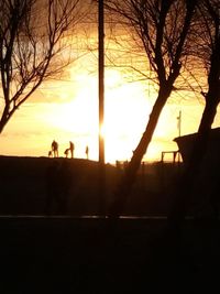 Silhouette of bare trees at sunset