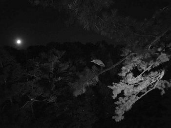 Scenic view of landscape against sky at night