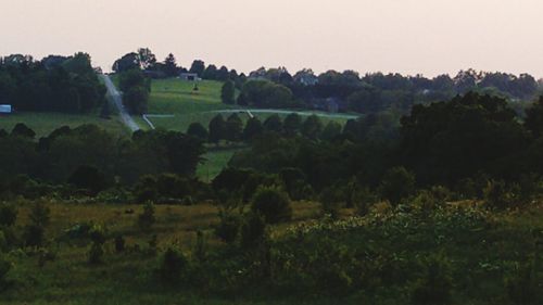 Scenic view of agricultural field against sky