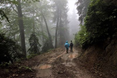 Rear view of people walking on road in forest