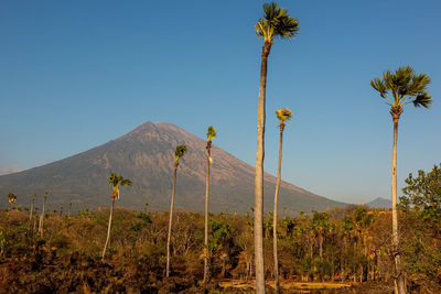 View on agung vulcano, bali, indonesia