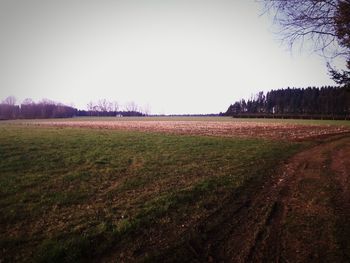 Scenic view of field against clear sky