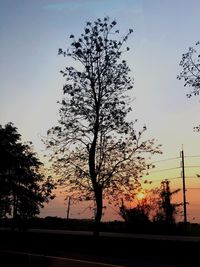 Silhouette tree against sky during sunset