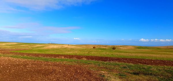 Scenic view of field against blue sky
