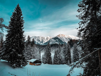 Scenic view of snow covered mountains against sky