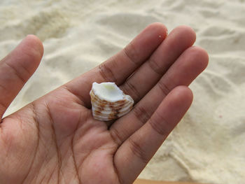 Close-up of hand holding ice cream on beach