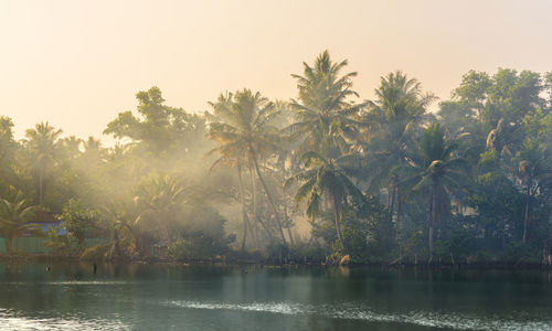 Scenic view of lake by trees against clear sky